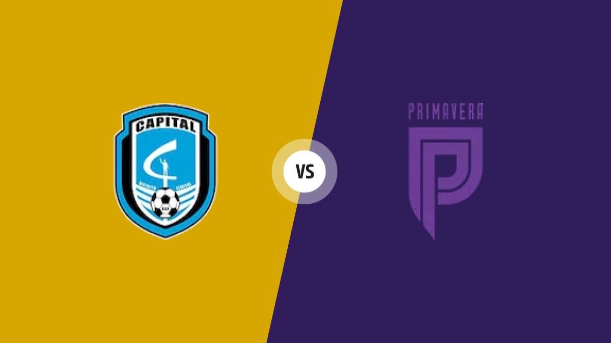 Capital CF Df vs Primavera AC Mt prediction