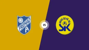 Bk Fremad Amager vs Skive Ik prediction