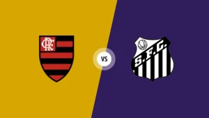 Cr Flamengo Rj vs Santos FC Sp prediction